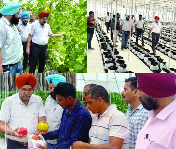 Director Agriculture Jammu reviews Agricultural Projects in District Samba