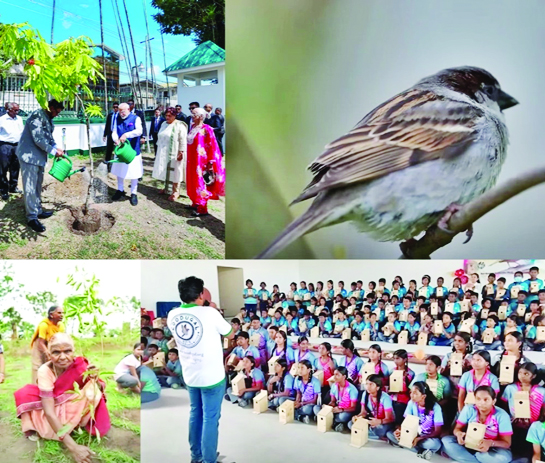 100 crore trees in five months: PM Modi lauds Ek Ped Maa Ke Naam' campaign success