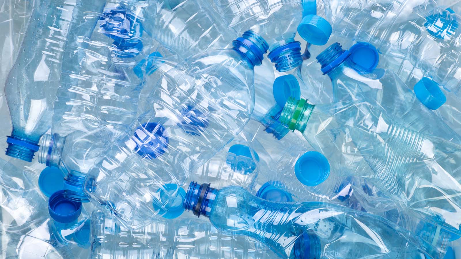 Why we should not reuse plastic water bottles