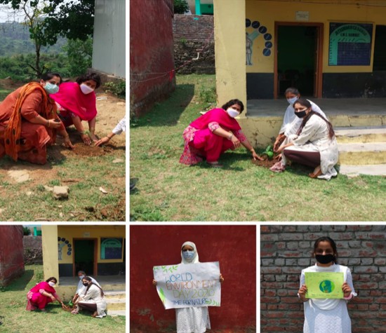 Plantation drive And Poster making on the eve of Environment Day 5th of June