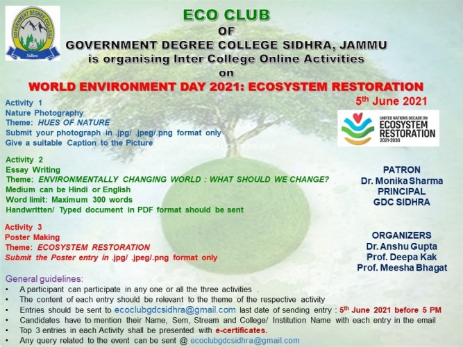 world environment day essay in english