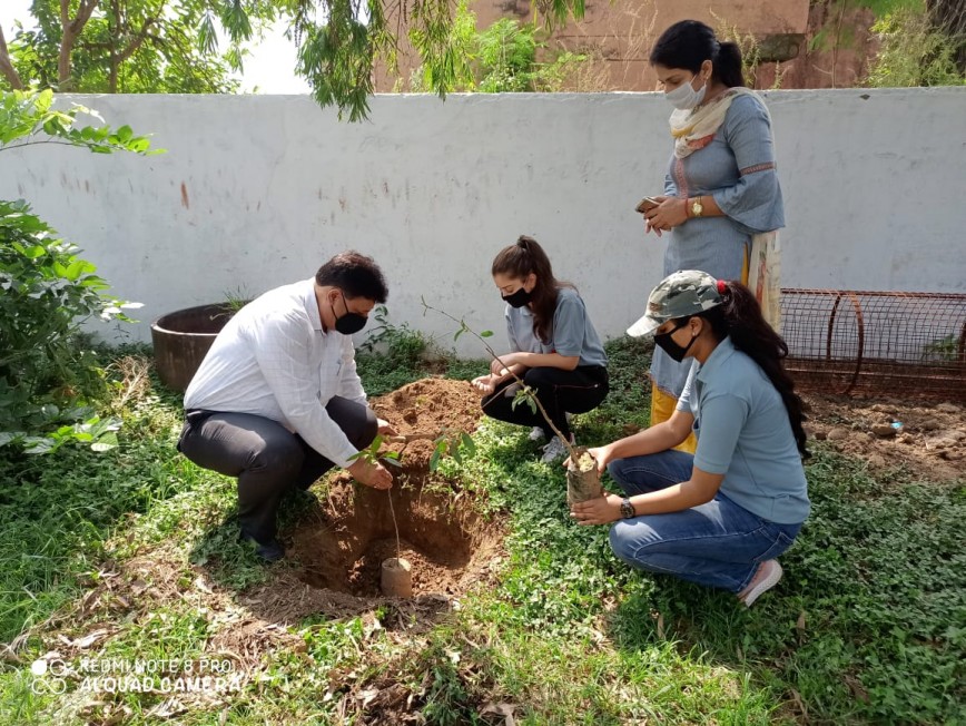 One week Tree Plantation Pakhwada celebrated by GDC  Udhampur